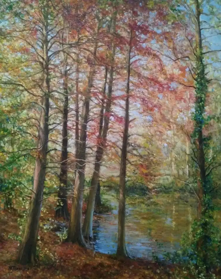 Autumn Cypress Trees by the River — tall cypress trees with autumn foliage beside a reflective river